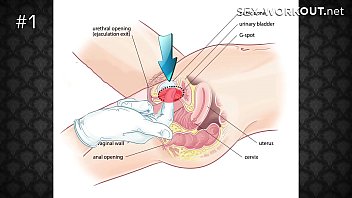 Как правильно заниматься анальным сексом